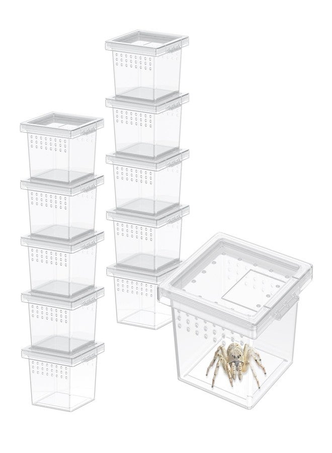 Pawfly 10 Pcs Mini Spider Terrarium Breeding Box, Transparent Plastic Jumping Spider Enclosure Cricket Keeper Tarantula Enclosure, Small Reptile Hatching Container for Scorpion Centipede Gecko Mantis - Image 1